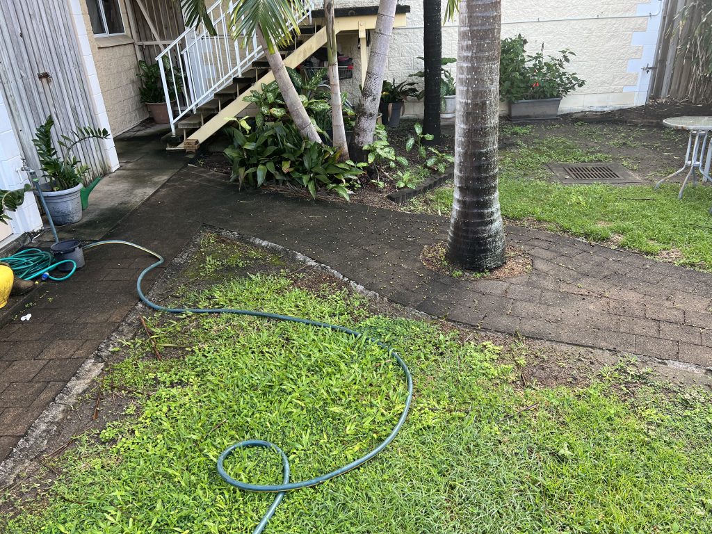 Concrete pavers before cleaning by Pristine Washing