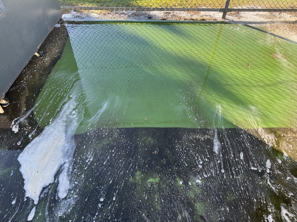 Heavy algae and tropical grime build-up on outdoor sports courts in North Mackay.