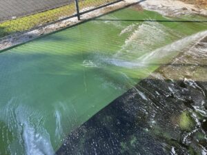 Commercial pressure cleaning equipment removing slippery algae from the court surface.