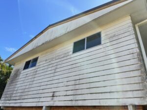 Mould and algae build-up on exterior walls before house washing in North Mackay