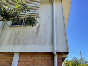 Heavy tropical mould staining on house cladding in Mackay