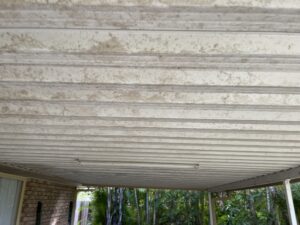 Dirty patio ceiling affected by Mackay humidity and mould