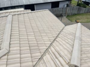Professional roof washing Ooralea