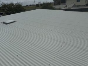 Tropical roof cleaning service Mackay Queensland