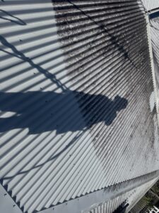 Black mould growth on Colorbond roof in Mackay