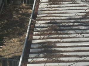 Leaf debris and organic build-up in roof valley before cleaning