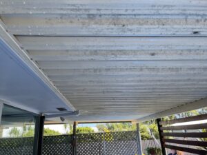 Heavy mould and algae build-up on outdoor patio ceiling in Slade Point