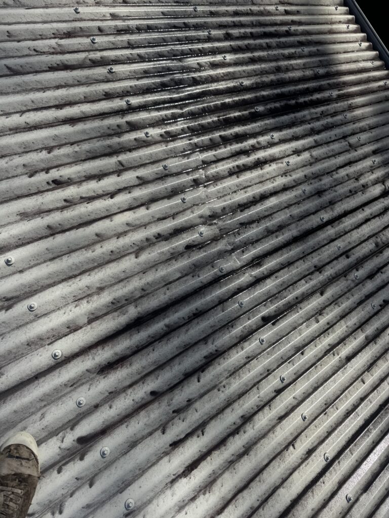 Heavy mould on white Colorbond roof before roof cleaning in North Mackay
