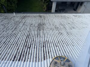 Professional roof pressure cleaning in North Mackay Mackay