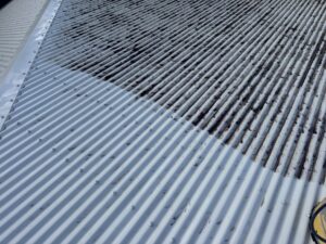 Black mould growth on Colorbond roof in North Mackay