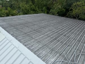 Black mould and algae build-up on Colorbond why roofs go black in Mackay before roof cleaning
