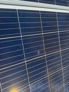 Dirty solar panels with bird droppings in Glenella Mackay