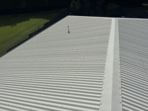 Half cleaned Colorbond roof showing mould removal in Glenella