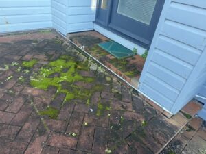 Moss and algae build-up on brick pavers at medical centre in Mackay