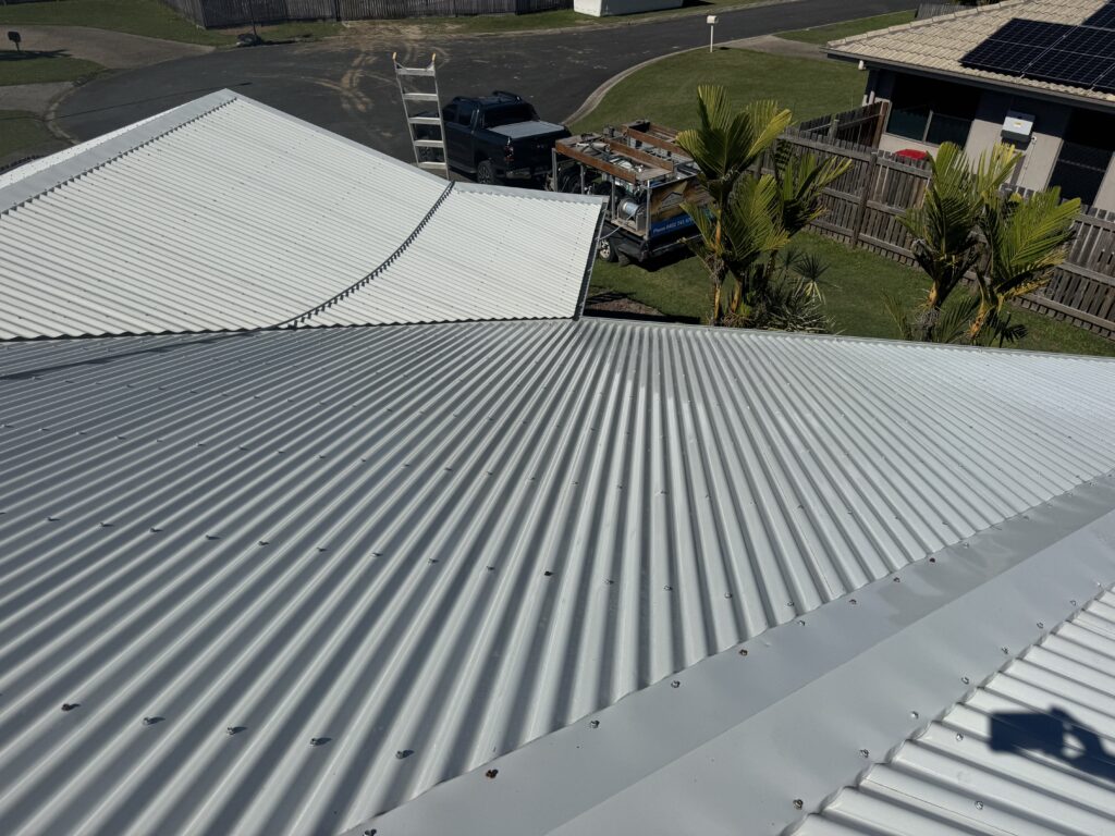 Roof cleaning