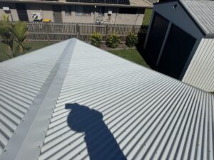 Pristine Washing roof cleaning Walkerston