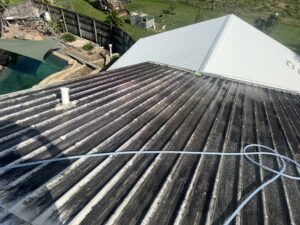 Heavy mould and dirt build-up on a Colorbond roof in Glenella