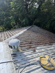 Dirty leafy roof at Eimeo