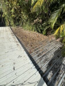 Leafs on roof