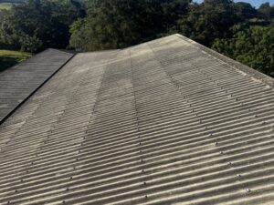 Roof mould removal before treatment