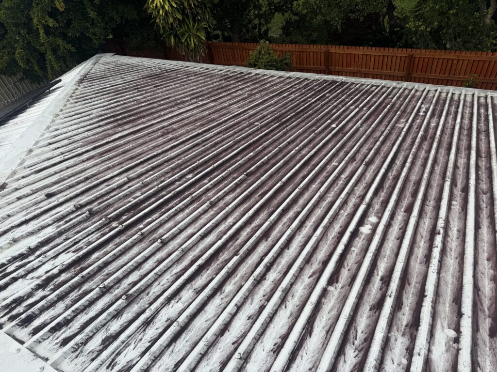 Before painted roof cleaning in Andergrove showing heavy mould and algae
