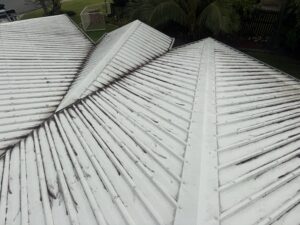 Dirty roof