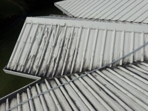 Mouldy roof in Andergrove
