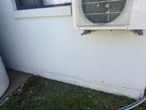 Clean wall of the house