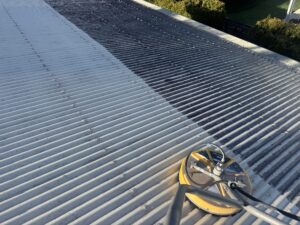 Roof cleaning
