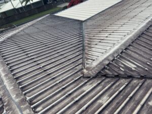 Painted roof