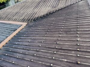 Dirty roof in Mount Pleasant