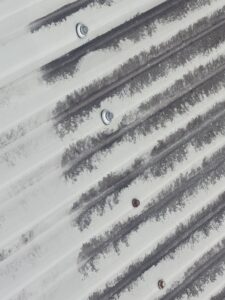 roof cleaning before screw replacement