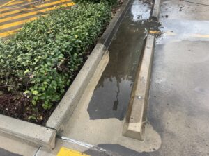 Cleaning the kerbs