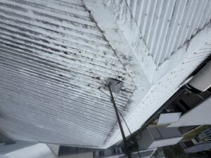 Why roofs in Rural View become so dirty 