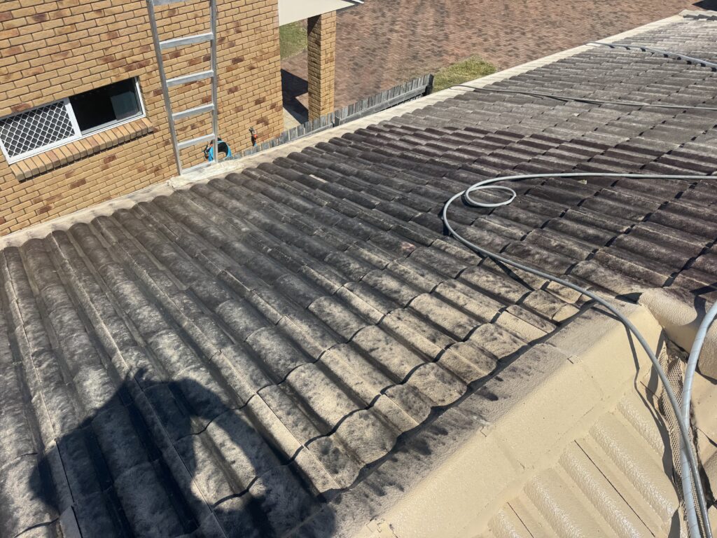 Heavy dark buildup across painted roof tiles before cleaning in West Mackay